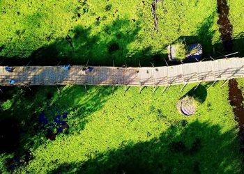 Cầu tre dài nhất việt nam