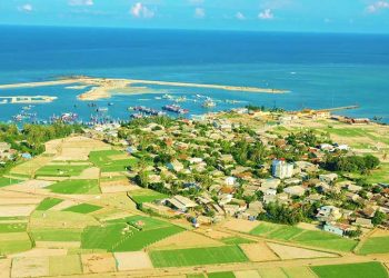 Hành tỏi Lý Sơn