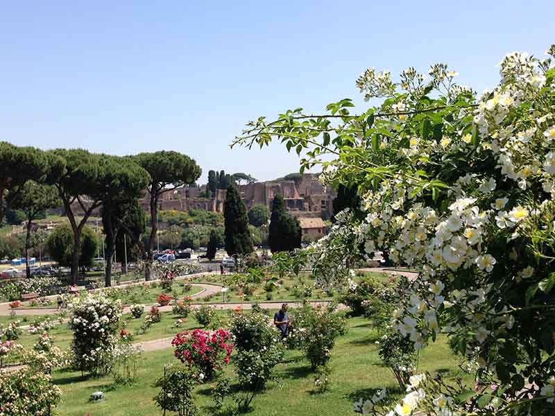  Vườn hồng Rome
