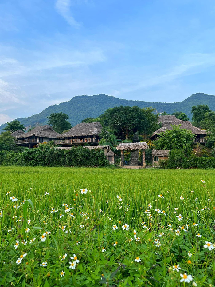 White Thai's stilt houses in Mai Chau Valley