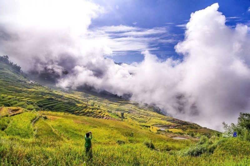 The white clouds embrace the golden rice fields in Y TY