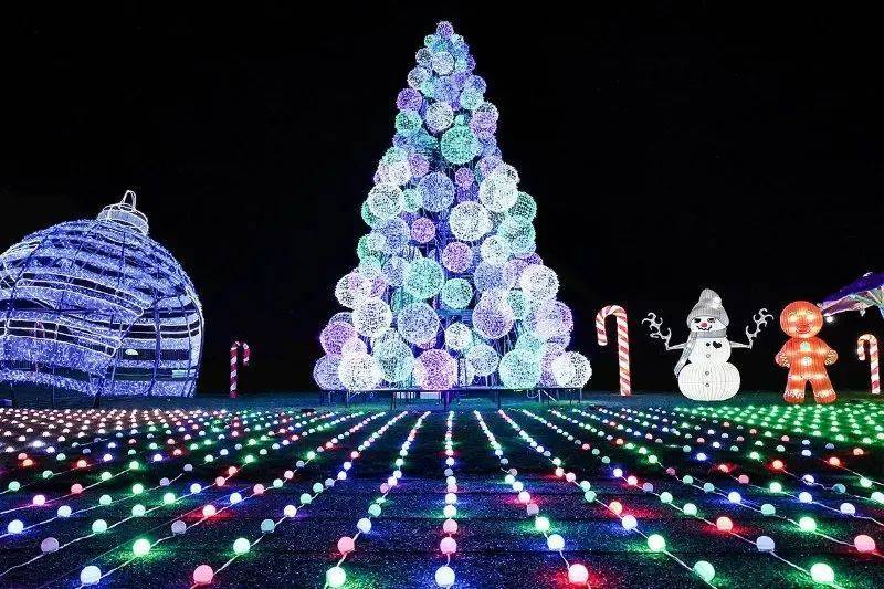  Lightopia at Crystal Palace Park