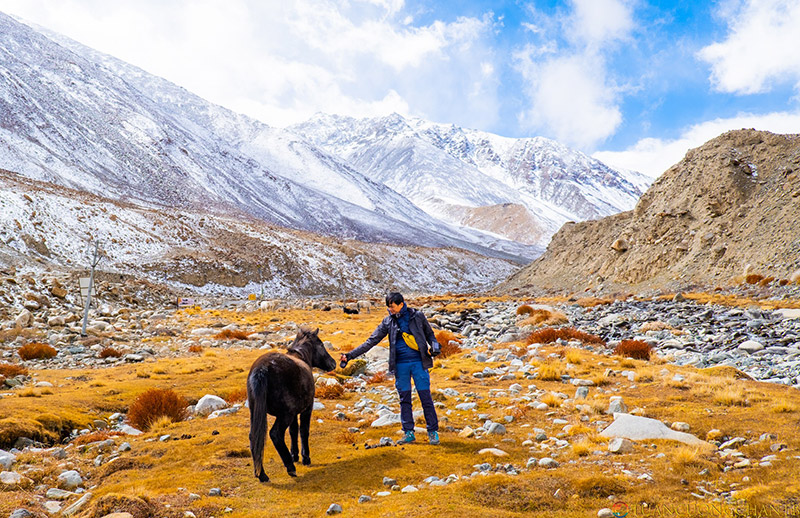 cảnh đẹp Ladakh