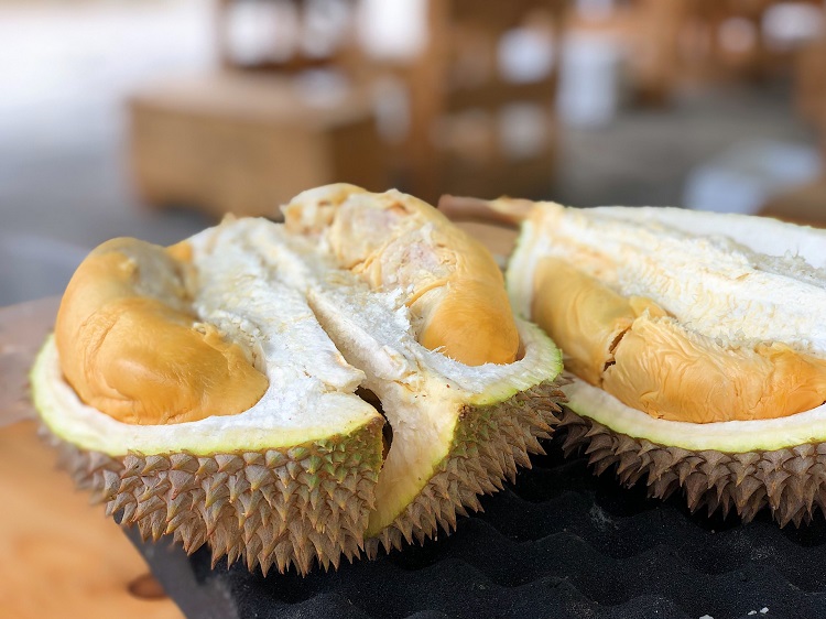 Durian Vietnamese fruits in summer