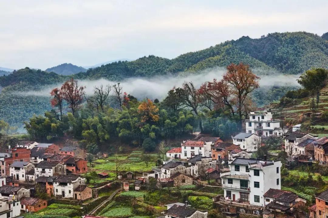 Autumn in Longchitai Wuyuan (龙池汰的秋) 