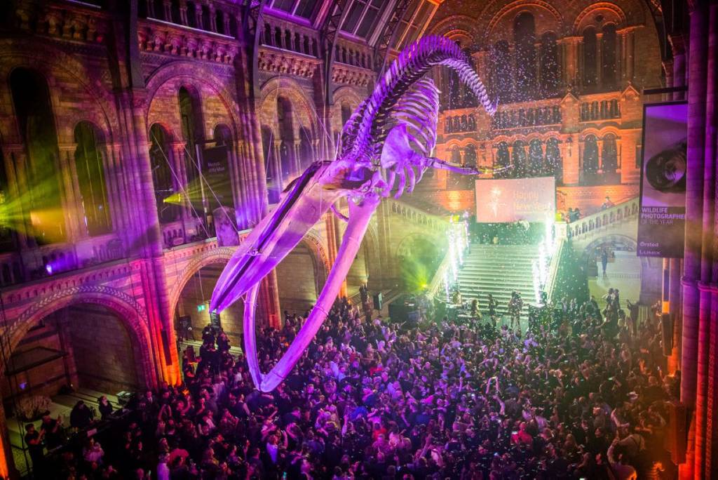 Silent Disco in the New Year at the Natural History Museum