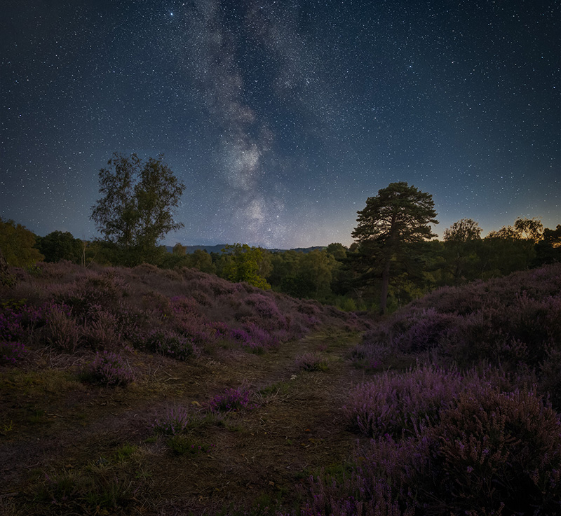 South Downs National Park