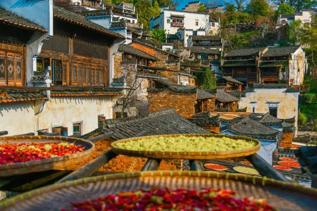 Hanging Wuyuan - the most beautiful countryside symbols in China