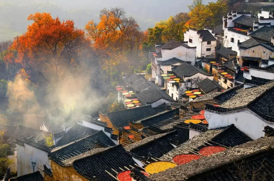 Hanging Wuyuan - the most beautiful countryside symbols in China