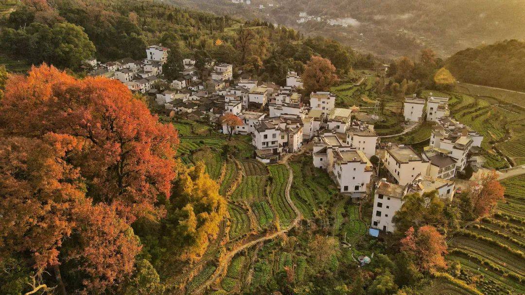 Autumn in Wuyuan Jiangling (江岭的秋)