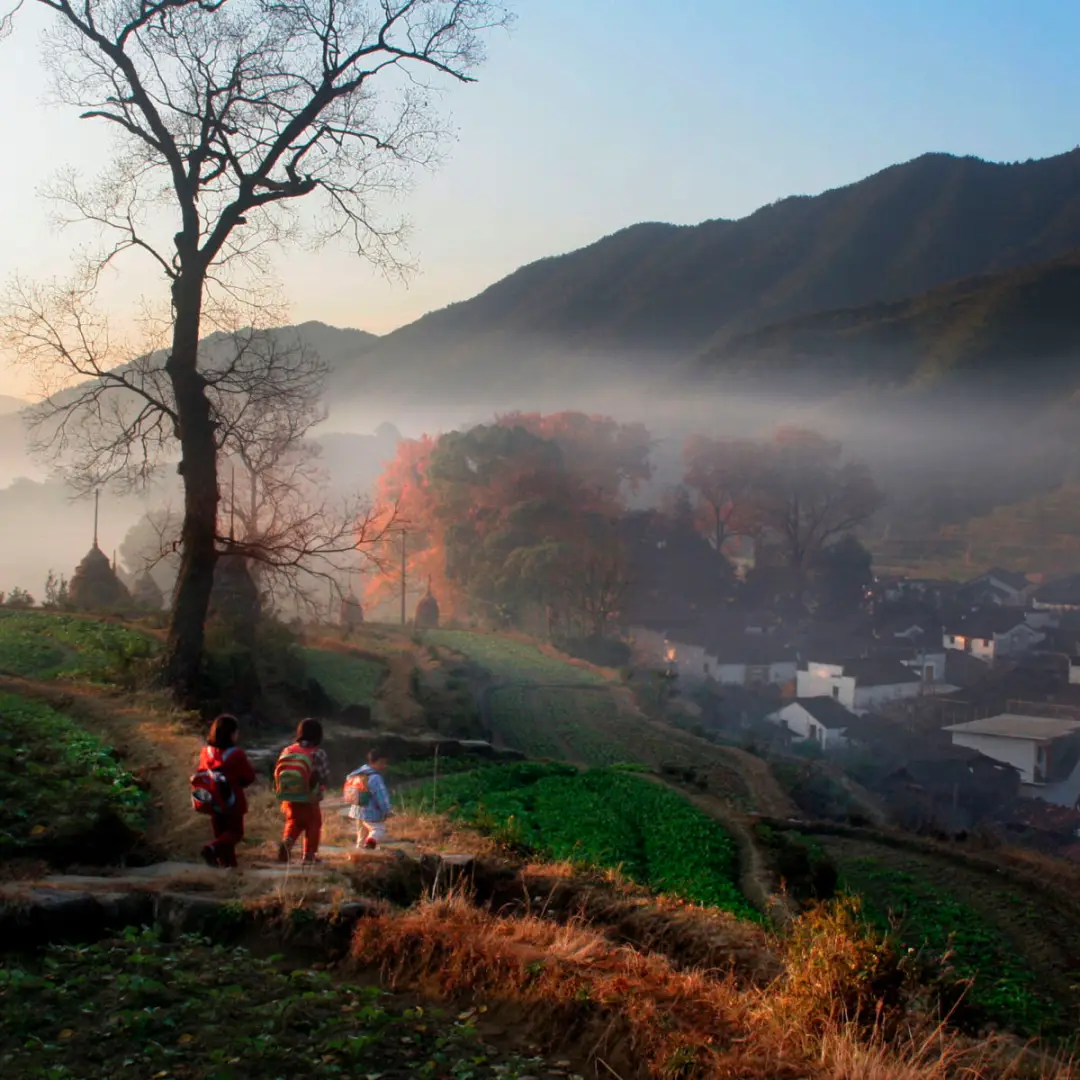 Autumn in Wuyuan Jiangling (江岭的秋)