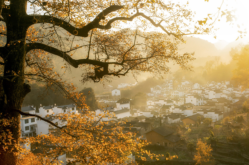 Autumn in Shicheng Wuyuan (石城的秋)