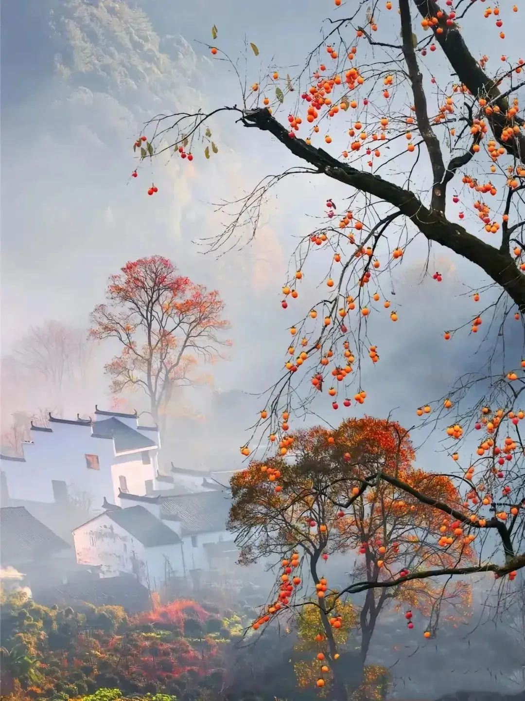 Autumn in Shicheng Wuyuan (石城的秋)