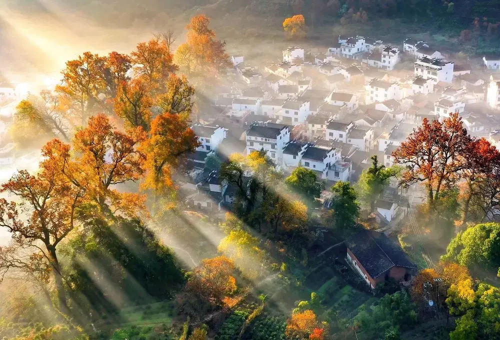 婺源的秋 - Autumn in Wuyuan like a picture scroll, a gentle poem