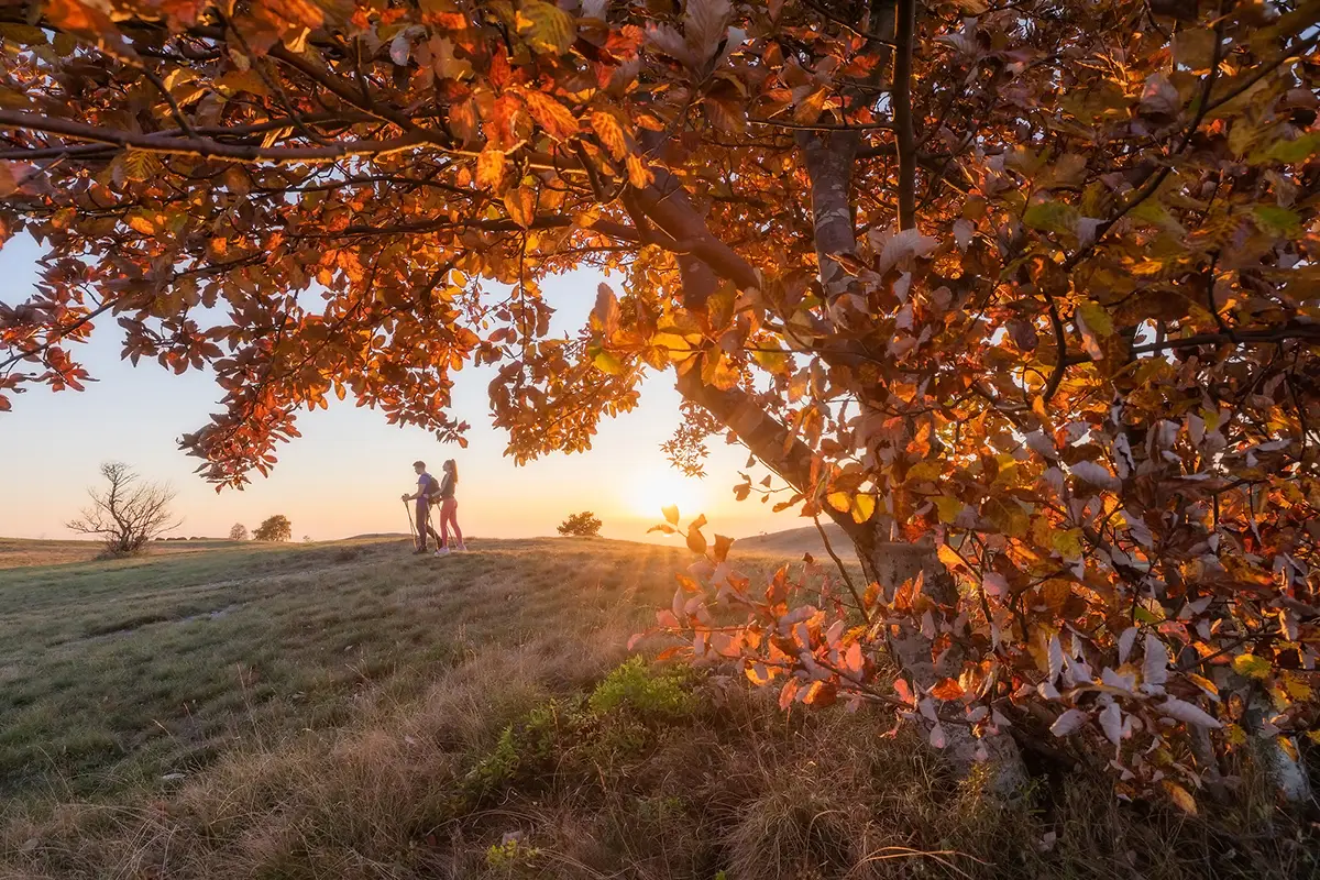 Slavnik Mountain Slovenia. Photo: Jaka Ivančič