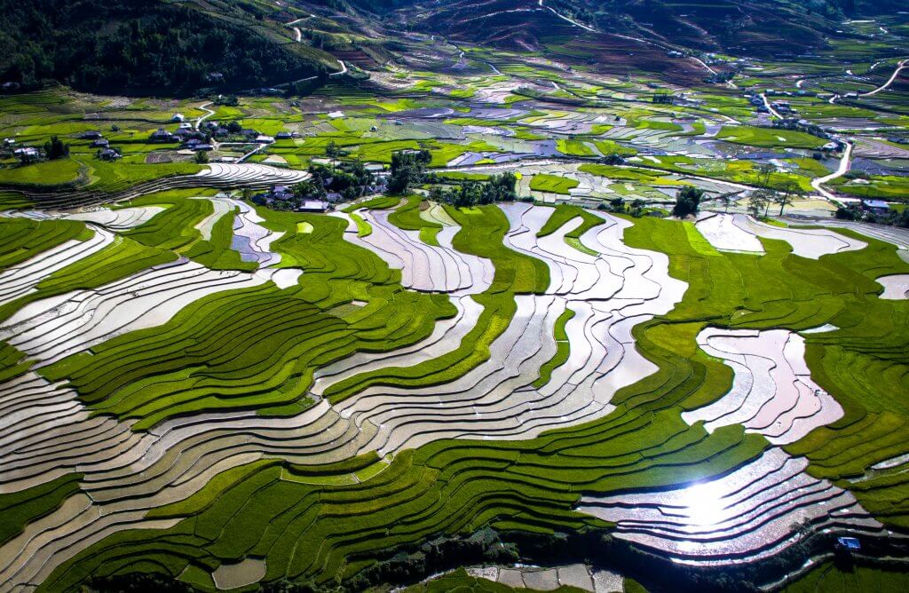 Mu Cang Chai rice terraced fields